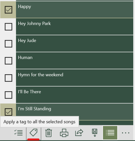 Screenshot showing the selection of songs for tagging.